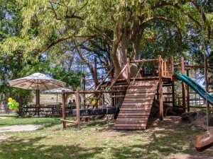 Bellevue Playground Jungle Gym Kids Area BellBellevue Playgroundevue Social Media-19