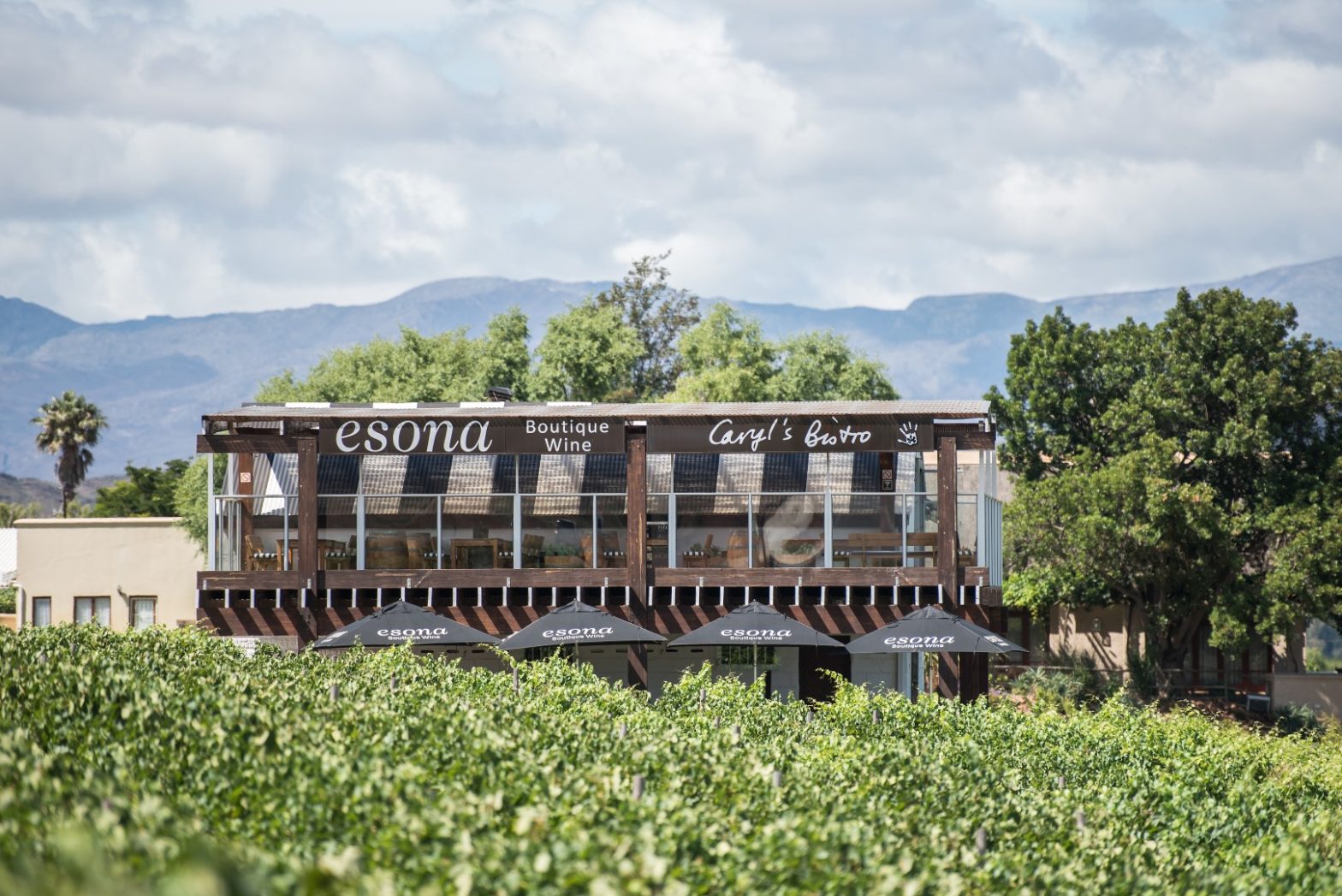 Esona Boutique Wine Estate winelands