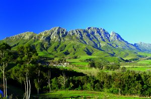 Rustenberg Simonsberg Mountain