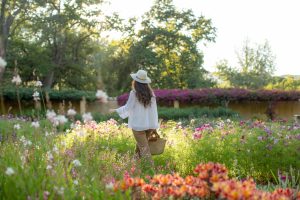 Vergelegen Wine Estate Gardens