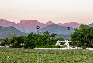 Allee Bleue winelands