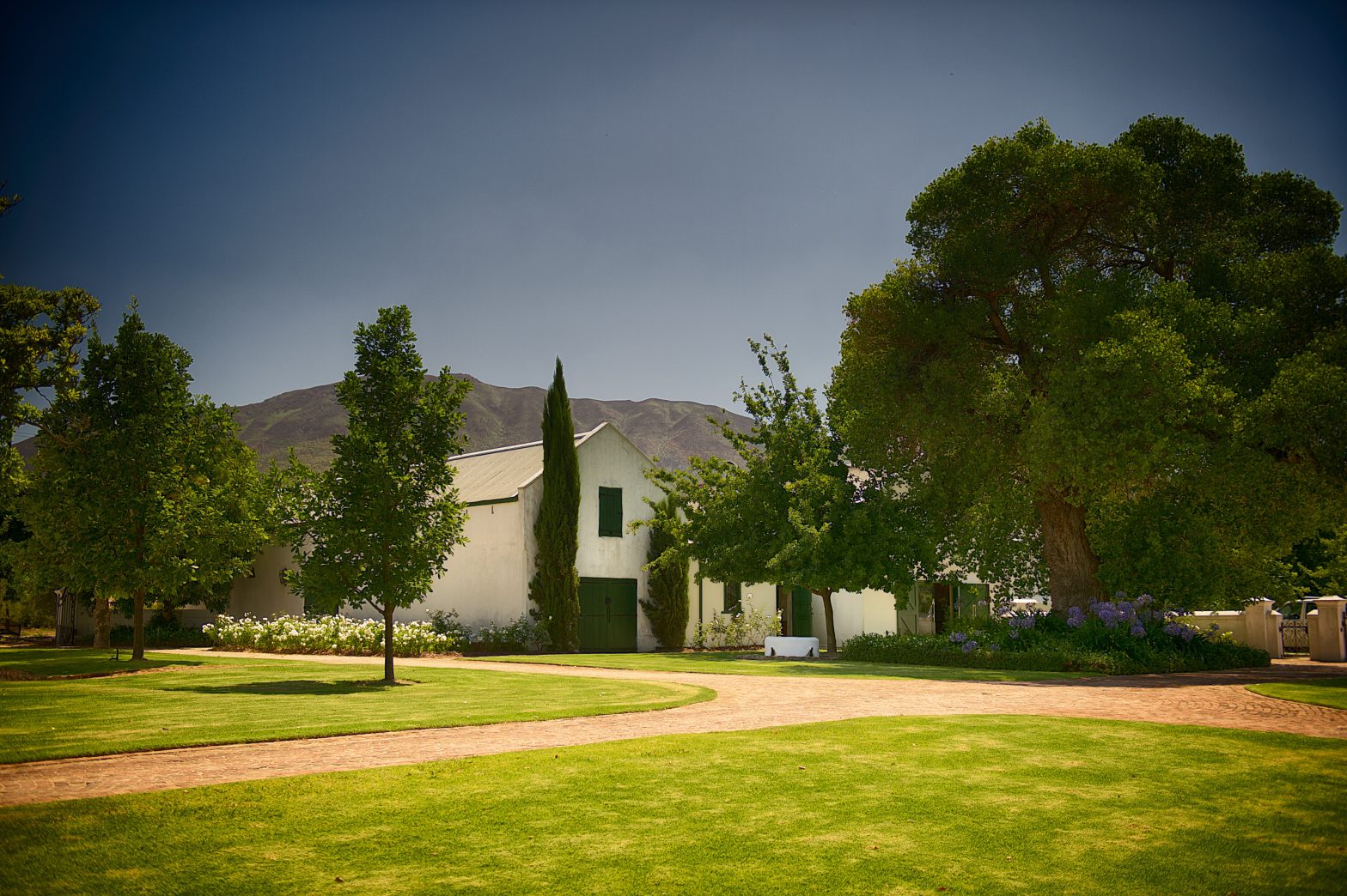 Bosman Family Vineyards