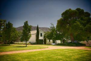 Bosman Family Vineyards