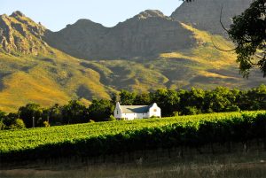 Dornier Wine Estate