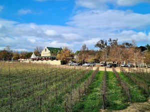 Skilpadvlei Venue Vineyards WineTasting Skilpadvlei Venue
