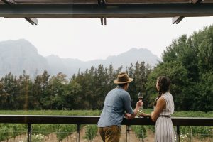 Thelema Wines Vineyards Arty Thelema Wines