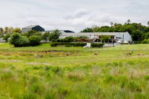 Mulderbosch Wildlife