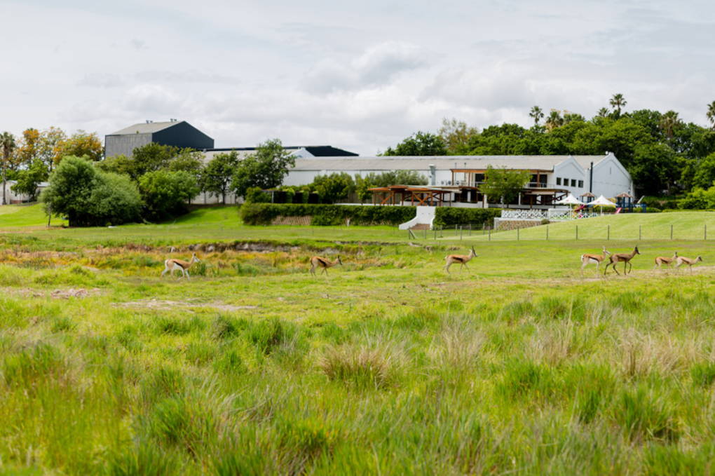 Mulderbosch Wildlife