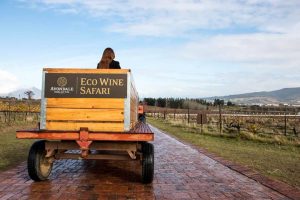 Avondale Wines vineyard tractor