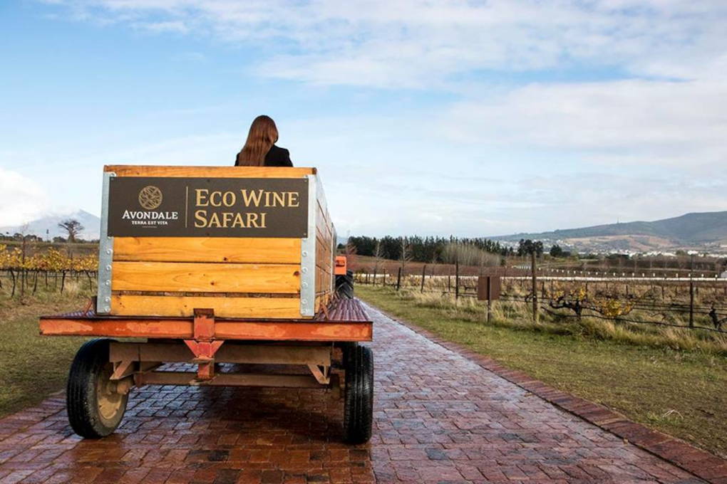 Avondale Wines vineyard tractor
