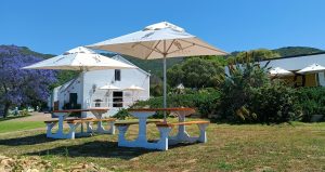 Ayama Wines garden restaurant