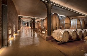 Babylonstoren Cellar