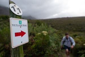 Bosman Hermanus bike trails with signage to point the way. Bosman Hermanus bike trails