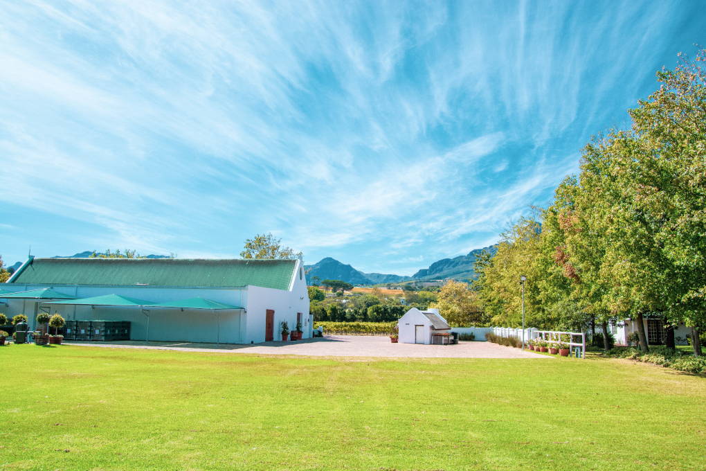 Ken Forrester Cellar