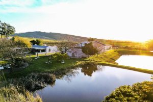 L'Avenir Wine Estate - Winelands Explore