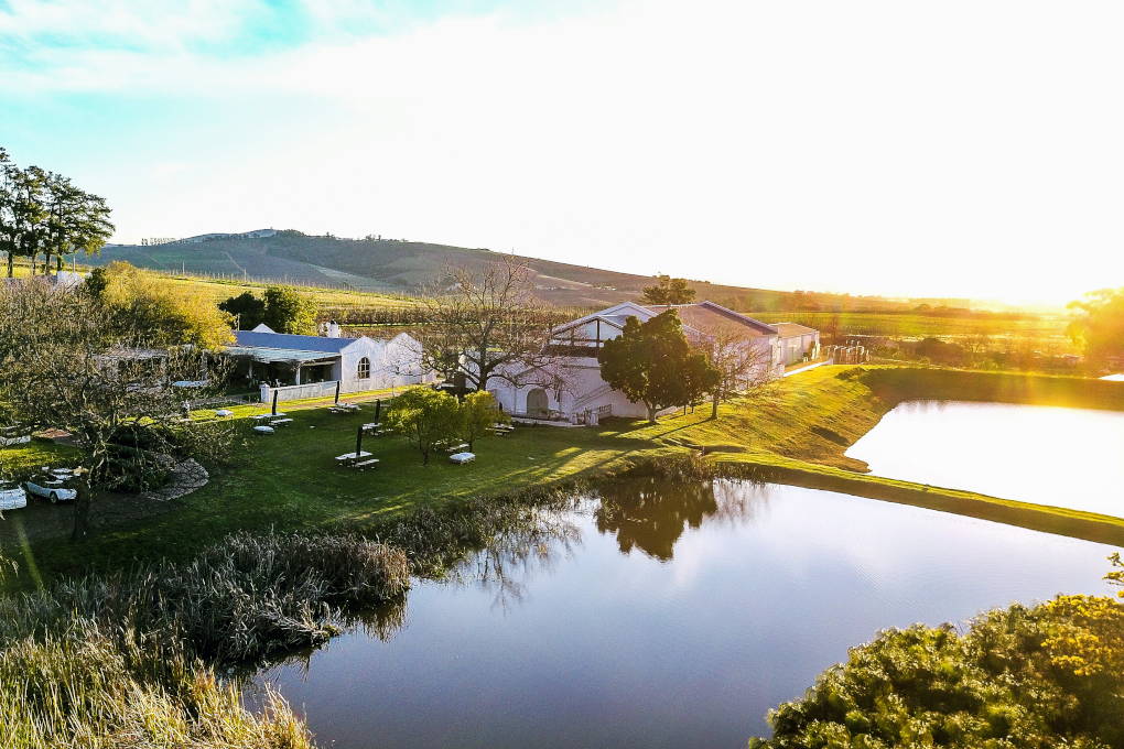 L'Avenir Wine Estate - Winelands Explore