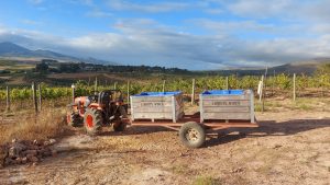 Luddite family tractor