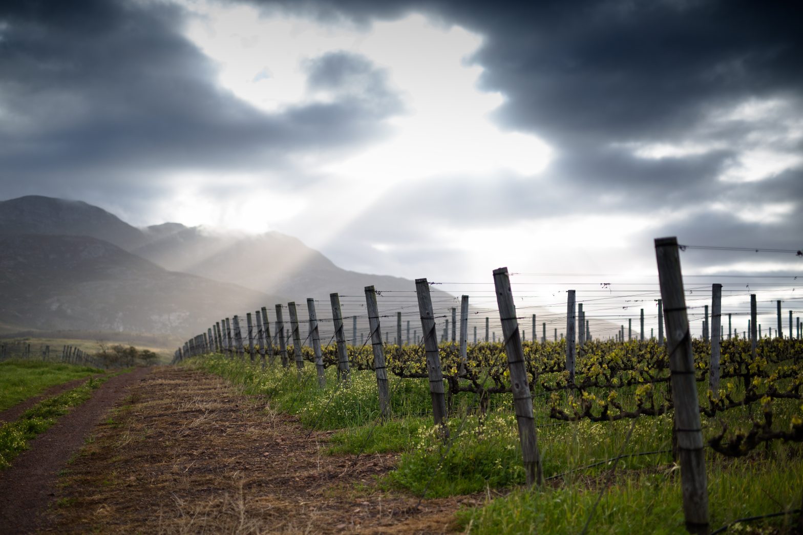 Oak Valley sunset view