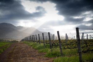 Oak Valley sunset view