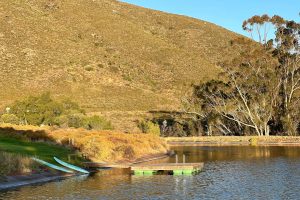 Penhill Wine Estate dam