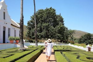 Penhill Wine Estate maze