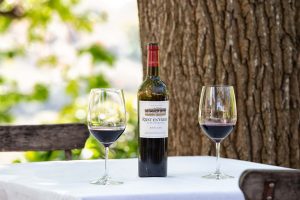 Rust en Vrede Wine Tasting