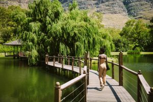 Stark Conde Restaurant