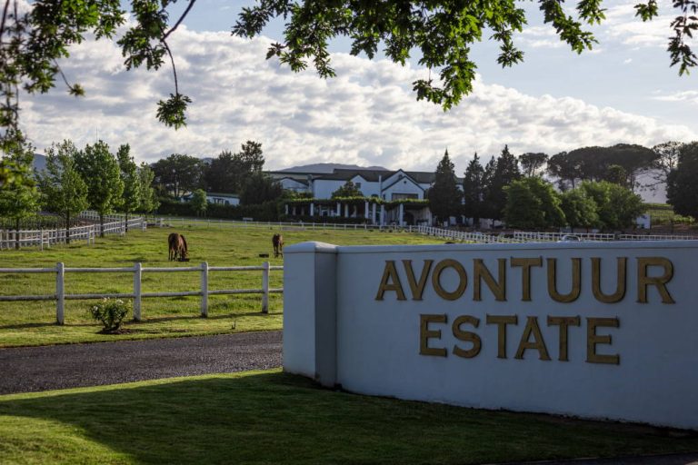 avontuur-wine-estate-winelands-explore