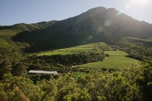 Keermont Mountain and Vineyards