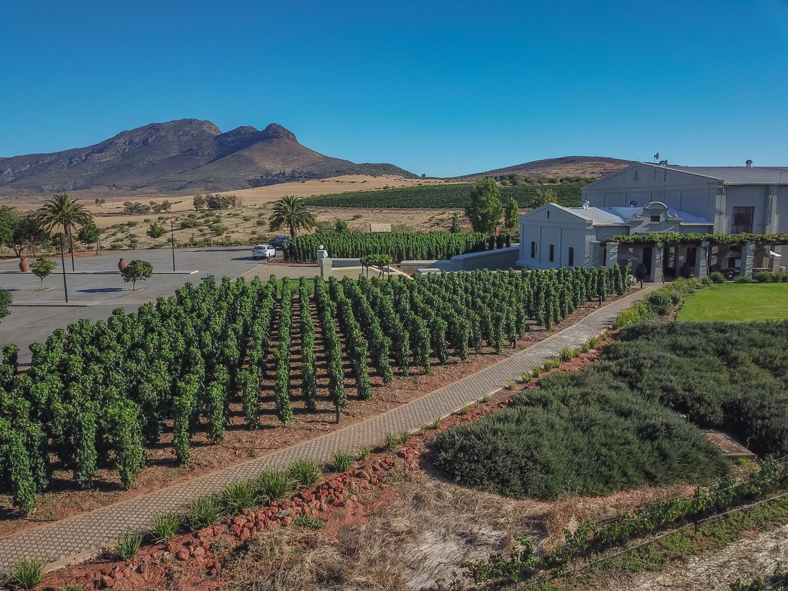 Org De Rac Winelands