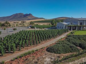 Org De Rac Winelands