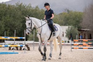 Constantia Royale Equestrian ring