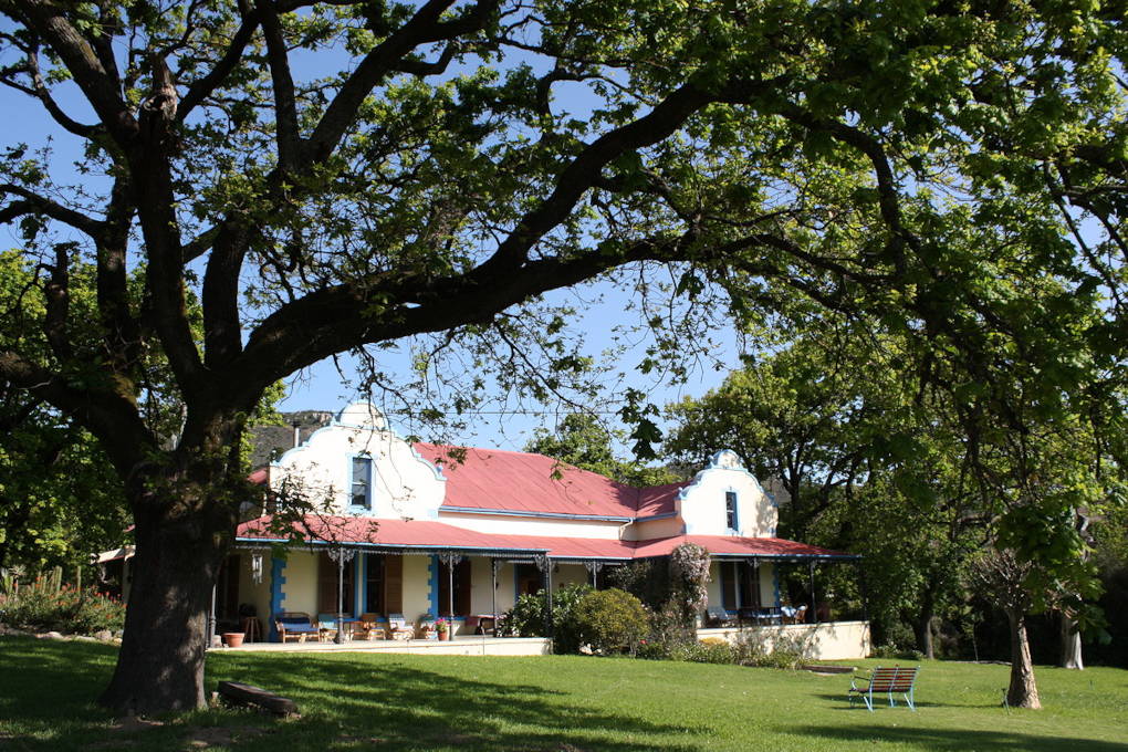 Dragonridge Wines Gardens