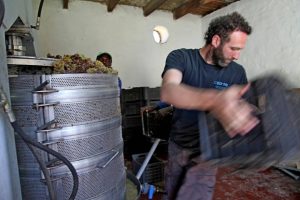 Dragonridge Wines Cellar Tour