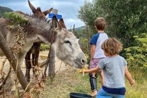 Dragonridge Wines Animal Interactions