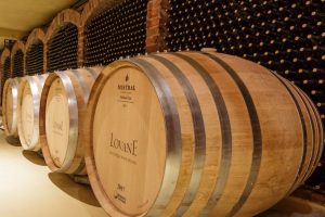 Lovane Cellar