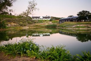 aaldering-2-estate-winetasting-pinotage aaldering-2-estate-winetasting