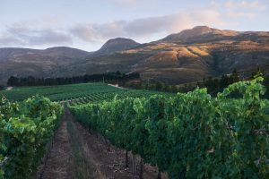 Paul Cluver mountain views