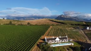 aaldering-1-winetasting-pinotage aaldering-1-vineyards-winetasting