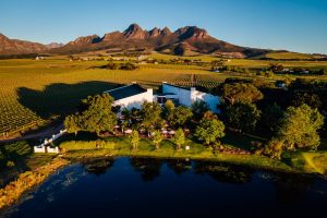Eikendal Vineyards