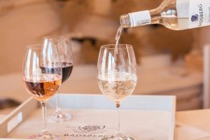 Badsberg Wine Tasting