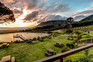 Cape Point Vineyards Breathtaking Views Picnics Cape Point Vineyards Mountains
