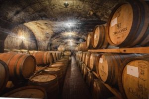 Chamonix Cellar