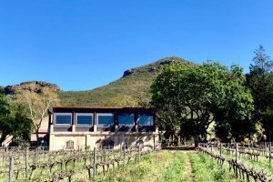 Kranskop Vineyards