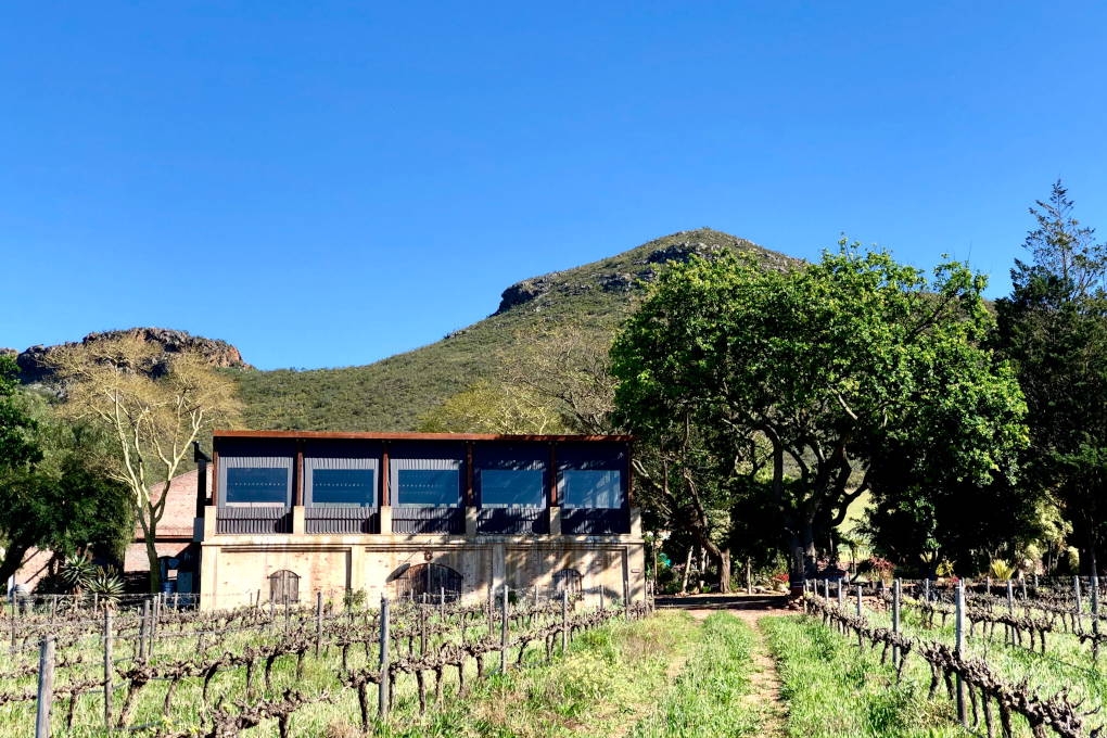 Kranskop Vineyards