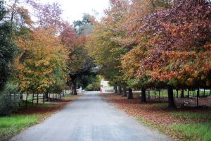 Theuniskraal Entrance