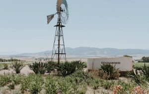 Eenzaamheid Wine Estate Windmill