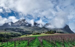 Uva Mira Wines Mountain Luxury Uva Mira Wines Mountain
