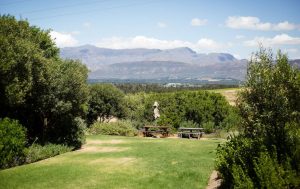 Waverley Hills Restaurant