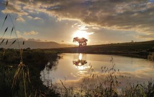 Waverley Hills Eco-tourism
